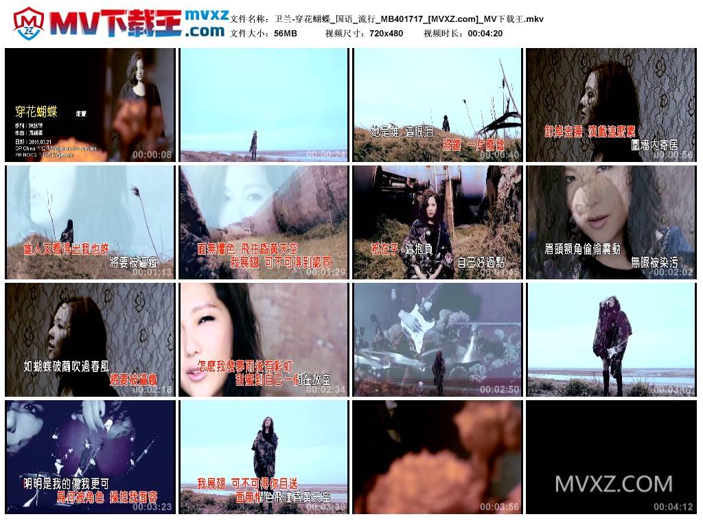 卫兰-穿花蝴蝶_国语_流行_MB401717